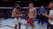 Mixed Martial Arts Sport GIF by UFC