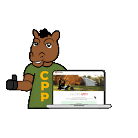 Csu Bronco Sticker by CPP Project CAMINOS