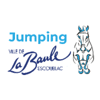 VilleLaBaule sport horse jumping equestrian Sticker