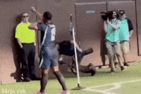World Cup Fan GIF