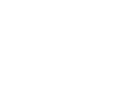 Celebrate New Year Sticker