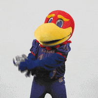 Clapping Congrats GIF by University of Kansas