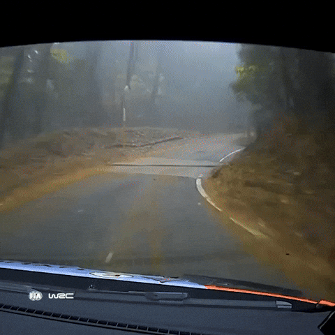 Car Crash Exit GIF by FIA World Rally Championship