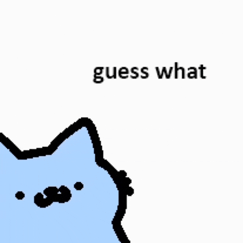 Spainnubcat GIF