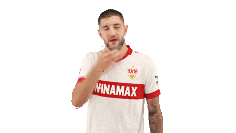 Vfb Stuttgart Sticker by Bundesliga