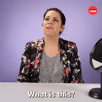 What Is This Selfie GIF by BuzzFeed