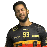 Sport What Sticker by PAUC Handball