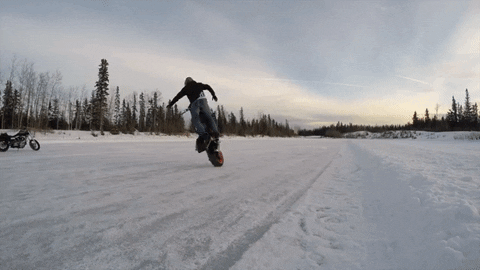 GIF by Okkult Motion Pictures