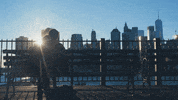 gm bpw GIF
