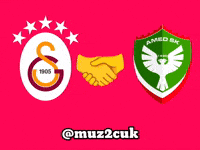 Galatasaray Gs GIF