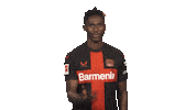 Bayer Leverkusen Sticker by Bundesliga