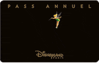 Sleeping Beauty Magic GIF by Disneyland Paris
