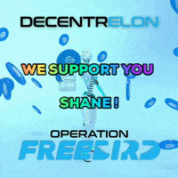 Shane GIF by decentrelon