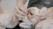 viceland GIF by Bong Appetit