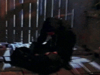 Animation GIF