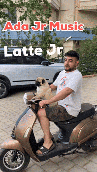 Pug GIF by adajrmusic