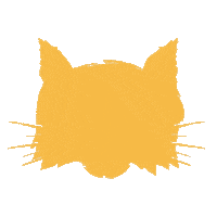 College Roar Sticker by Quinnipiac University