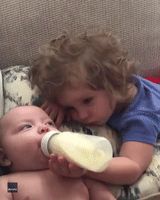 Sweet Toddler Diligently Feeds Her Baby Brother