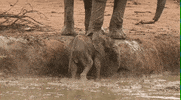 GIF by Mashable