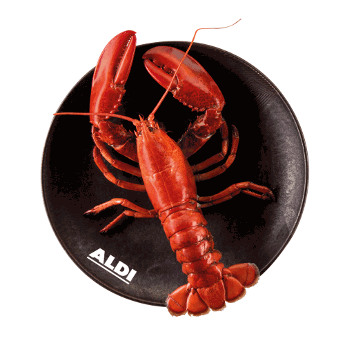 aldies christmas yummy eat merry christmas Sticker