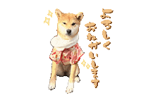Shibasoa しばいぬ 柴 柴そあ そあ Sticker
