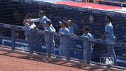 Happy Blue Jays GIF by MLB