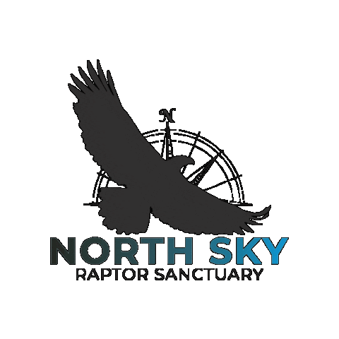 NorthSkyRaptor giphygifmaker northskyraptor raptorrehabilitator michigannonprofit Sticker