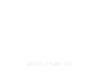 Animation Logo Sticker