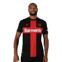 Good Morning Smile Sticker by Bayer 04 Leverkusen