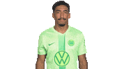 Happy Football Sticker by VfL Wolfsburg