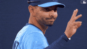 Blue Jays Hello GIF by Toronto Blue Jays