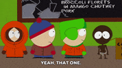 talking stan marsh GIF by South Park 