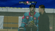 What Did I Do Shrug GIF by Champions Hockey League