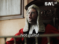 Ruling Saturday Night Live GIF by Sky