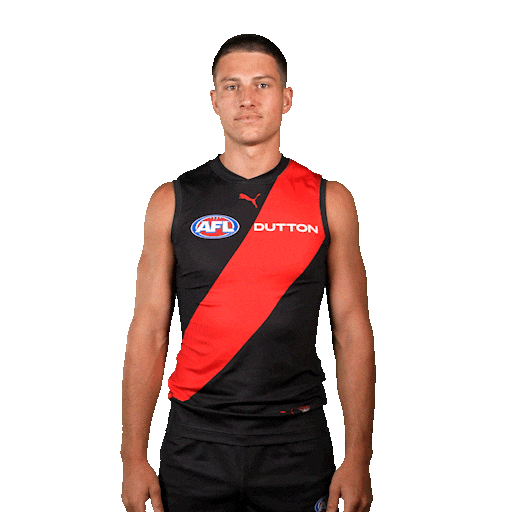 Football Sport Sticker by Essendon FC