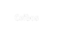 Text Sticker by armoniaec