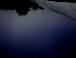 You Deserve An Oscar GIF by French Montana