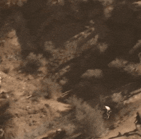 Send Red Bull Rampage GIF by Red Bull