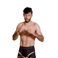 Mma Polo Reyes Sticker by LUX Fight League