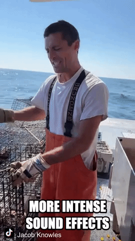 Maine Fishermen Catch 'Vicious' Wolffish