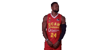 Liga Endesa Basketball Sticker by ACB