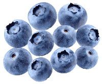 Fruit Yoghurt Sticker by Roxanne