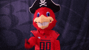 Big Red No GIF by Shippensburg University