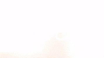 Celebration Goal GIF by FC Red Bull Salzburg