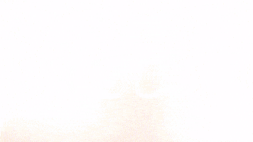 Celebration Goal GIF by FC Red Bull Salzburg