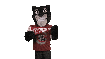 College Sports Sport Sticker by Chapman University