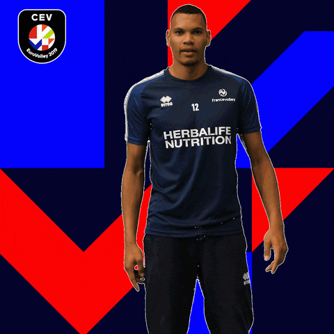 EuroVolley2019Fr volleyball eurovolley ffvolley edfvolley GIF