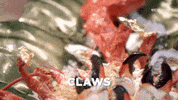 viceland GIF by MOST EXPENSIVEST