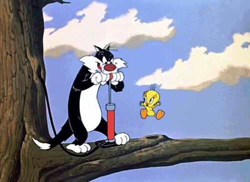 dustuncan giphyupload GIF