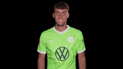 Happy Champions League GIF by VfL Wolfsburg